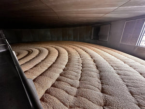 Promising Barley: A Visit to the Home of Golden Promise